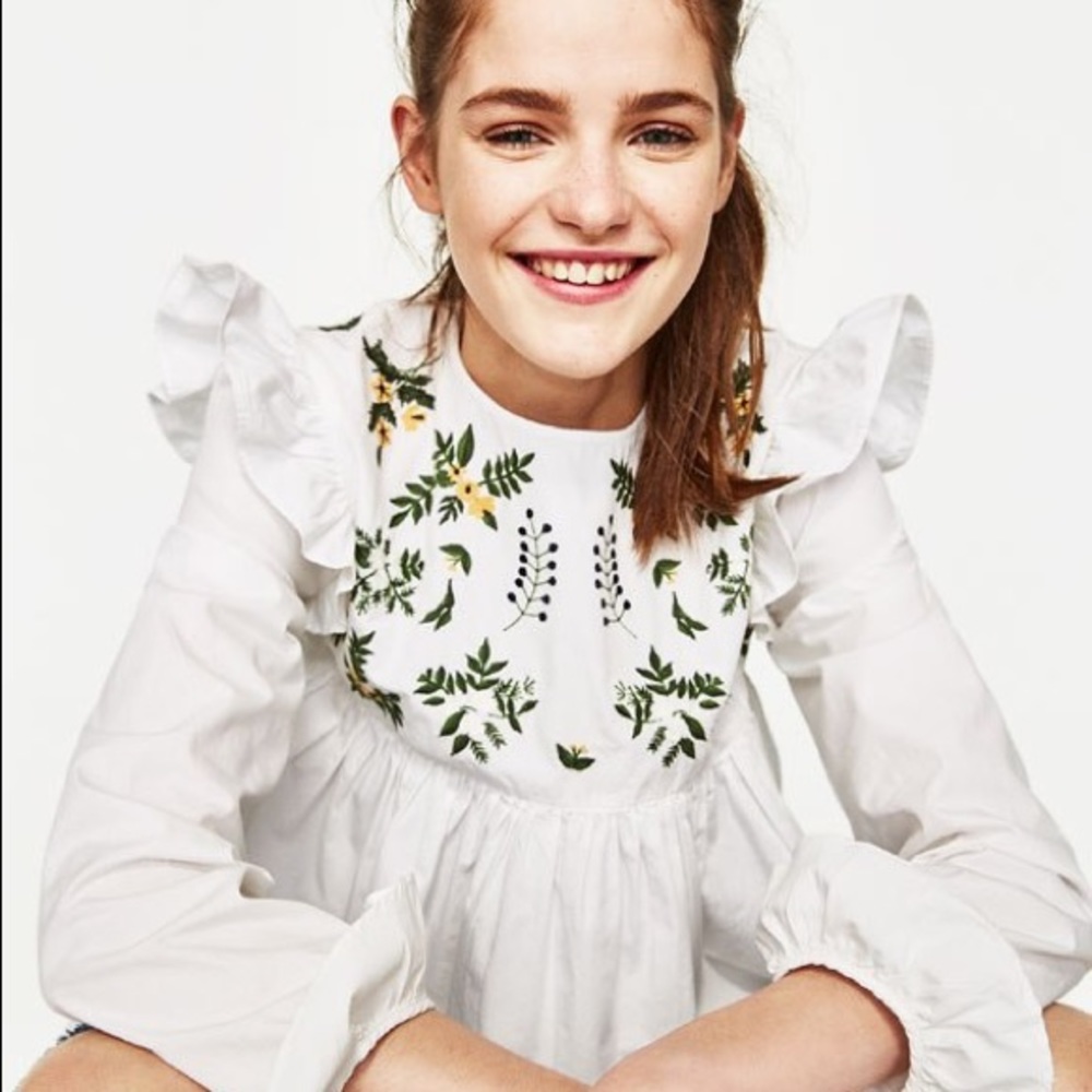 ZARA Long Sleeve Embroidered Top